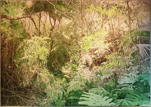 Bahia 2013, 

200 x 300cm, Acryl, Tropenhaus Wolhusen