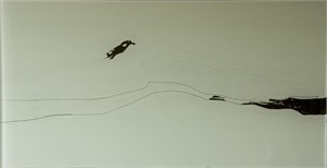 ohne Titel

Hinterglaszeichnung, 35 x 68cm, 2010