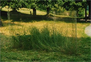 Innerschweizer Skulpturen,Villa Kr&auml;merstein, Kastanienbaum, 1988

Clos lieu, Plexiglas, 3 Seiten je 200 x 300cm