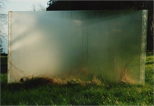 Innerschweizer Skulpturen,Villa Kr&auml;merstein, Kastanienbaum, 1988

Clos lieu, Plexiglas, 3 Seiten je 200 x 300cm