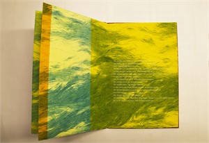 
Close
Edition Franz M&auml;der, Basel, 2007

M&auml;derheft Nr. 7, 29 x 19.5cm, Auflage 25, Text: Sabina Naef , Bild: manueller Tiefdruck