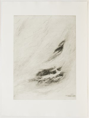 im NEBEL LEBEN

3.Zustand, 1986, 76 x 56cm, Auflage 4