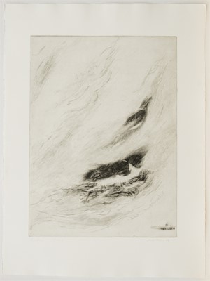 im NEBEL LEBEN

4.Zustand, 1986, 76 x 56cm, Auflage 2