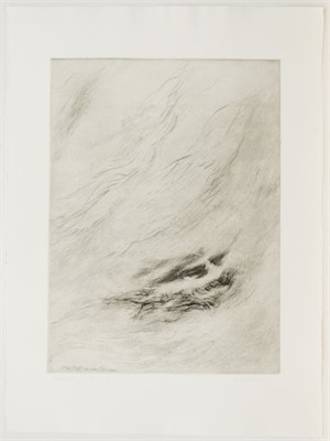 Man h&auml;lt an den Dingen

5.Zustand, 1986, 76 x 56cm, Auflage 4