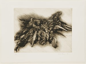 Pinda-Zyklus

ohne Titel, 1983, 38 x 48cm, Auflage 20