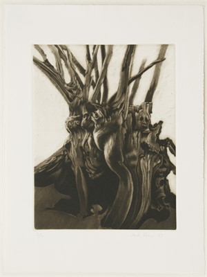 Pinda-Zyklus

ohne Titel, 1983, 38 x 48cm, Auflage 20