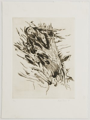 Pinda-Zyklus

ohne Titel, 1983, 38 x 48cm, Auflage 20