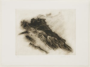 Pinda-Zyklus

ohne Titel, 1983, 38 x 48cm, Auflage 20