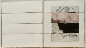 Eigenverlag 1987

Zust&auml;nde und Wechsel, 43 x 39cm, 25 Seiten, manueller Tiefdruck, Auflage 4