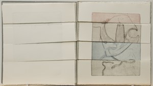 Eigenverlag 1987

Zust&auml;nde und Wechsel, 43 x 39cm, 25 Seiten, manueller Tiefdruck, Auflage 4