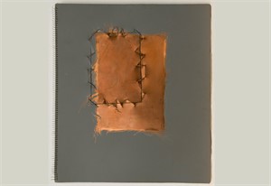 Eigenverlag 1987

Zust&auml;nde und Wechsel, 43 x 39cm, 25 Seiten, manueller Tiefdruck, Auflage 4